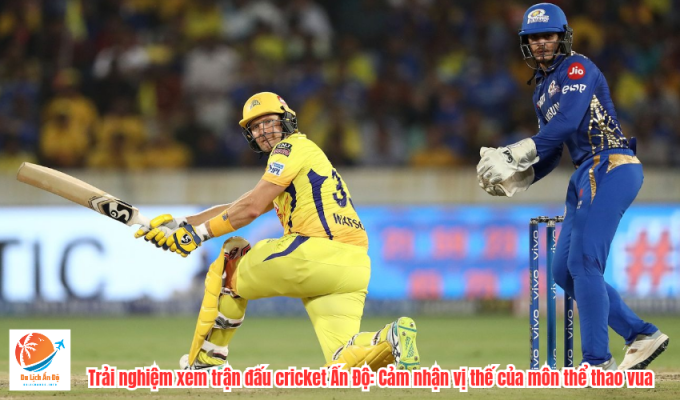 Trải nghiệm xem trận đấu cricket Ấn Độ: Cảm nhận vị thế của môn thể thao vua