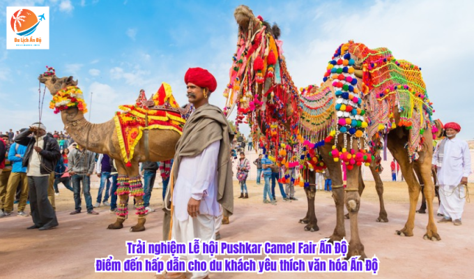 Trải nghiệm Lễ hội Pushkar Camel Fair Ấn Độ: Điểm đến hấp dẫn cho du khách yêu thích văn hóa Ấn Độ